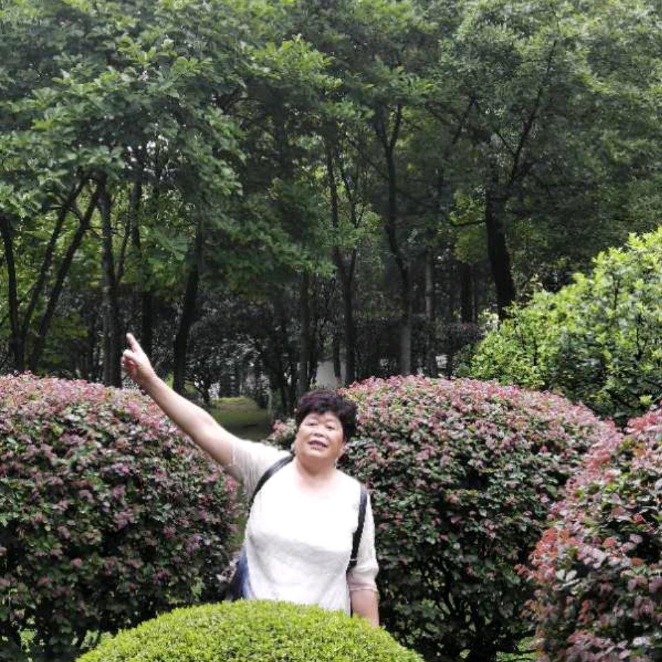 赵书仙