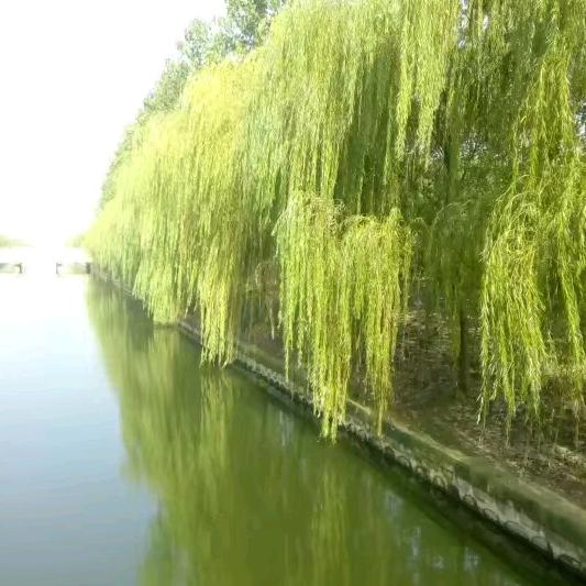 可以私聊