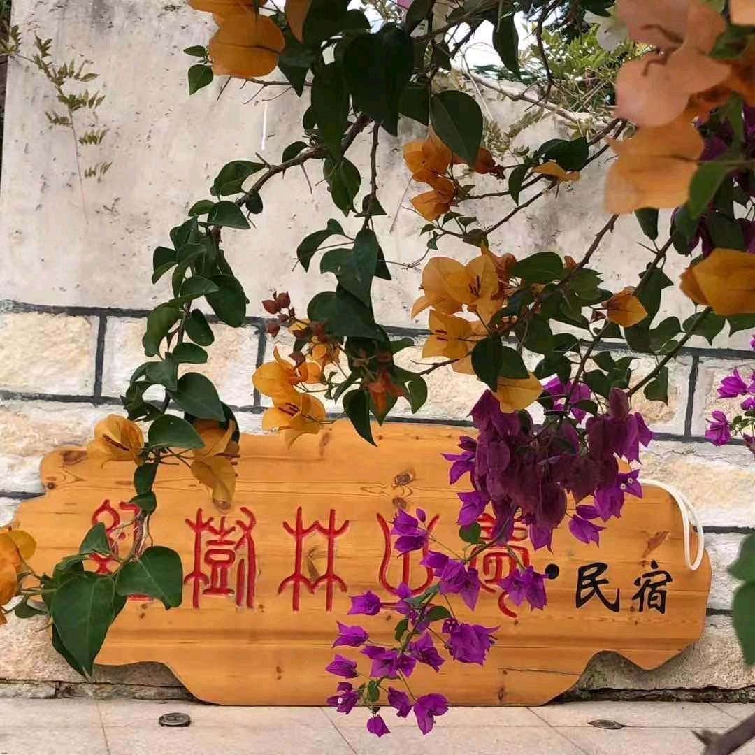 红树林之梦螃蟹饭