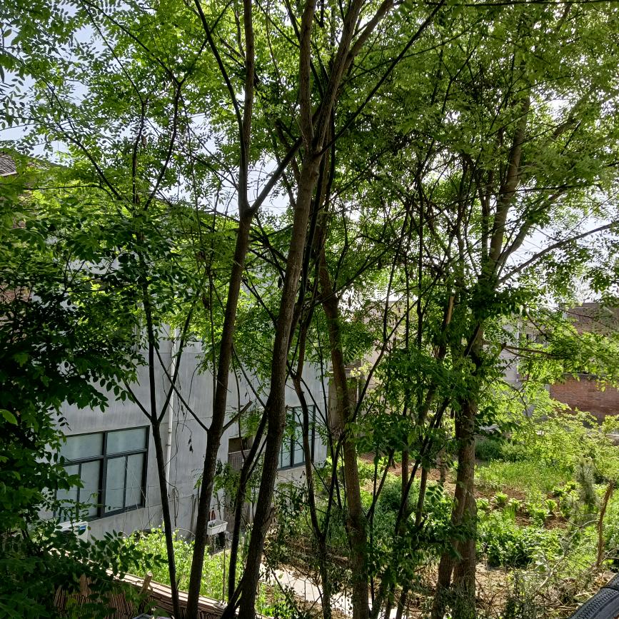 粤鹰搬家拉货在长安