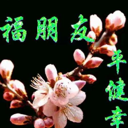 一目了然