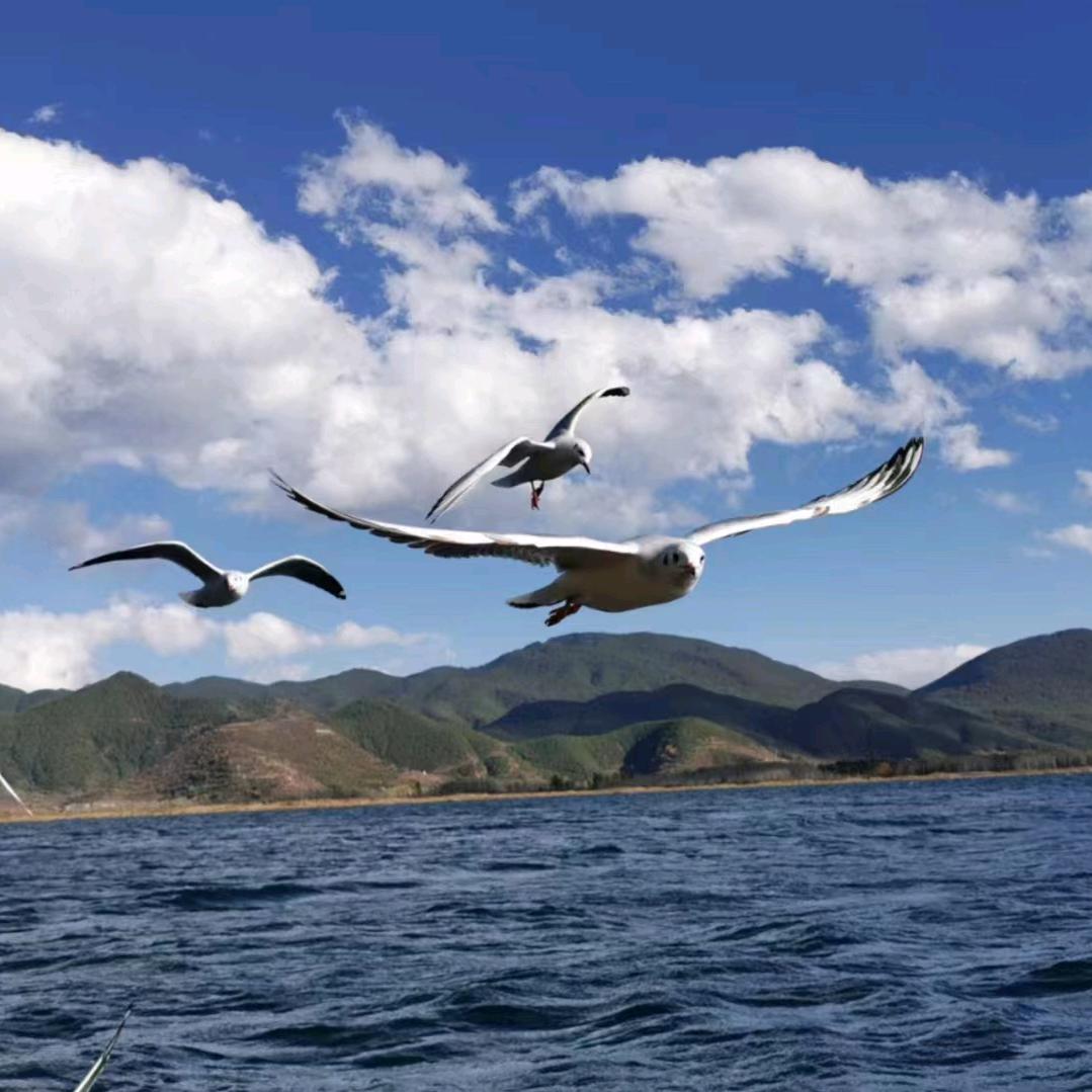 温晋橙