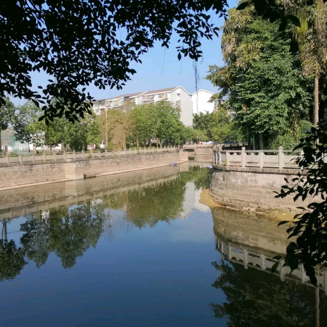 双珠凤