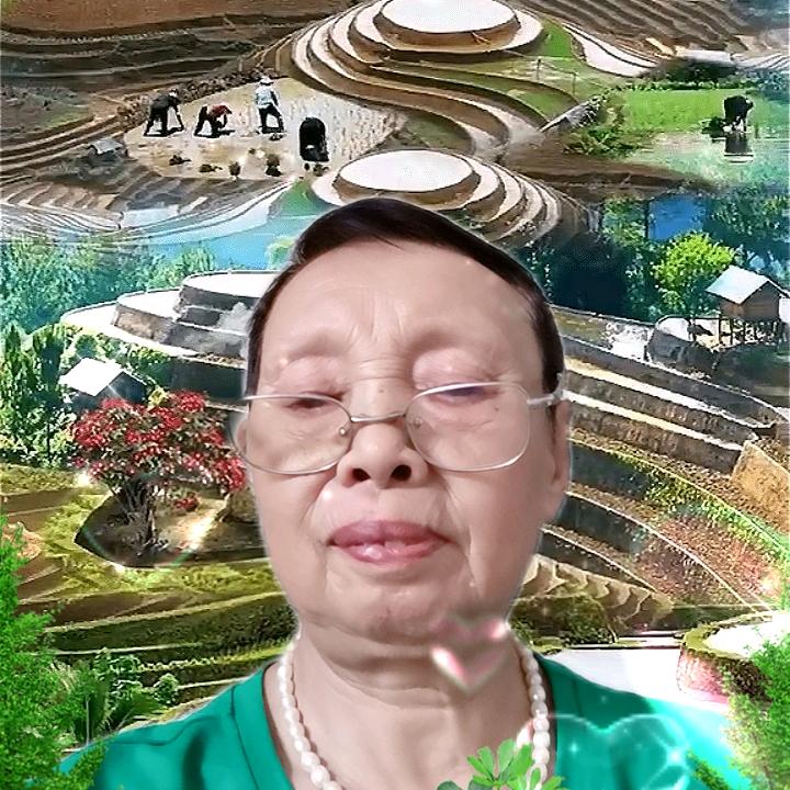 健康是福27973
