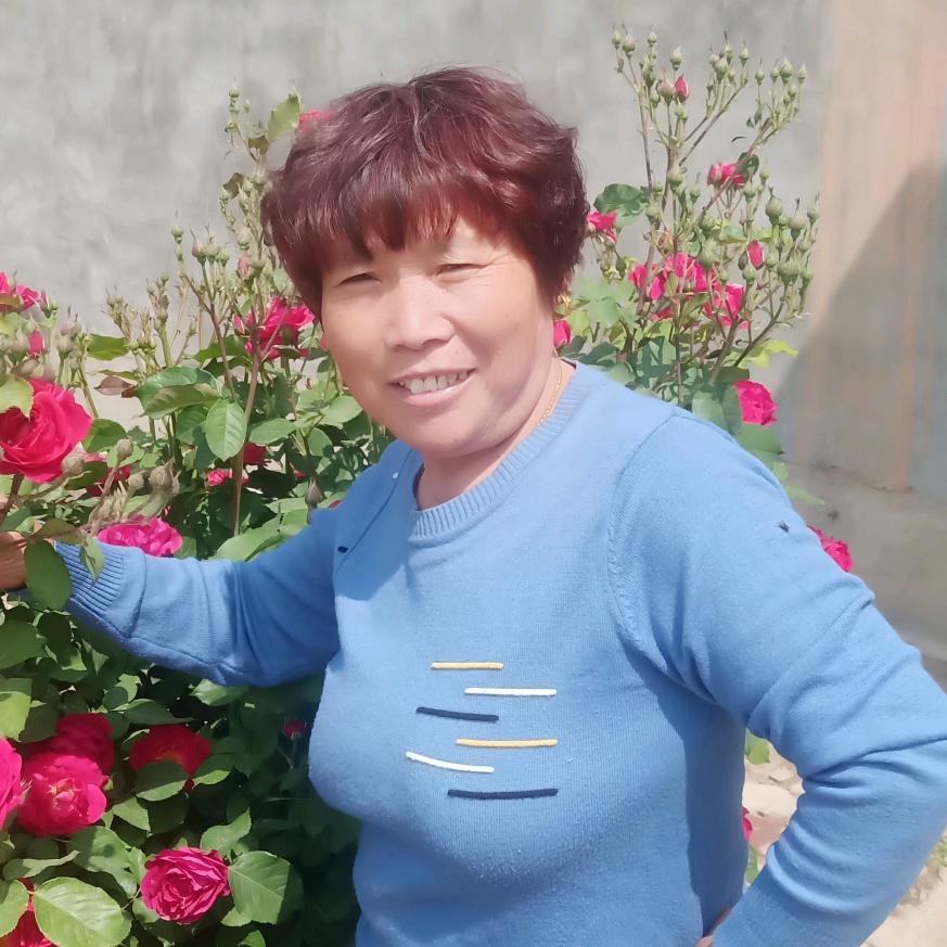 快乐老太太
