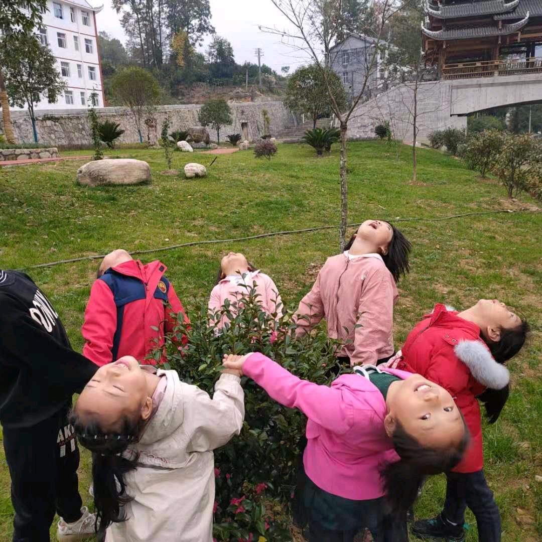 来生不做痴情人
