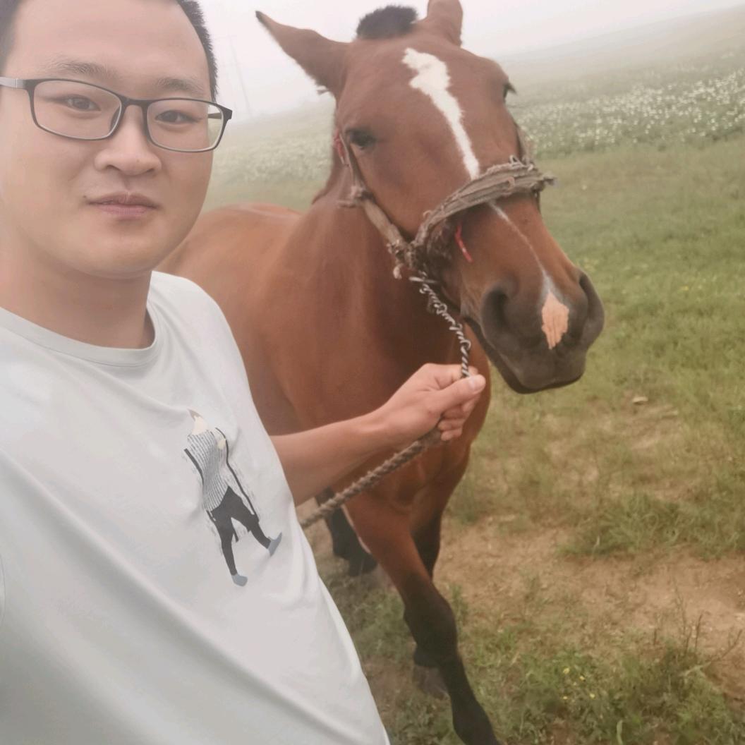 枫叶