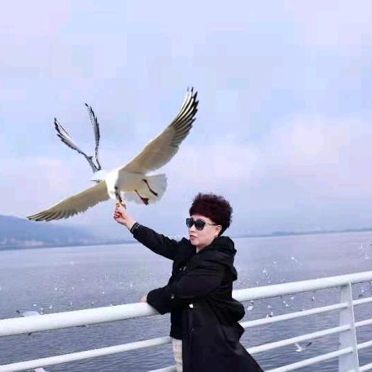 涞水县首鑫宾馆