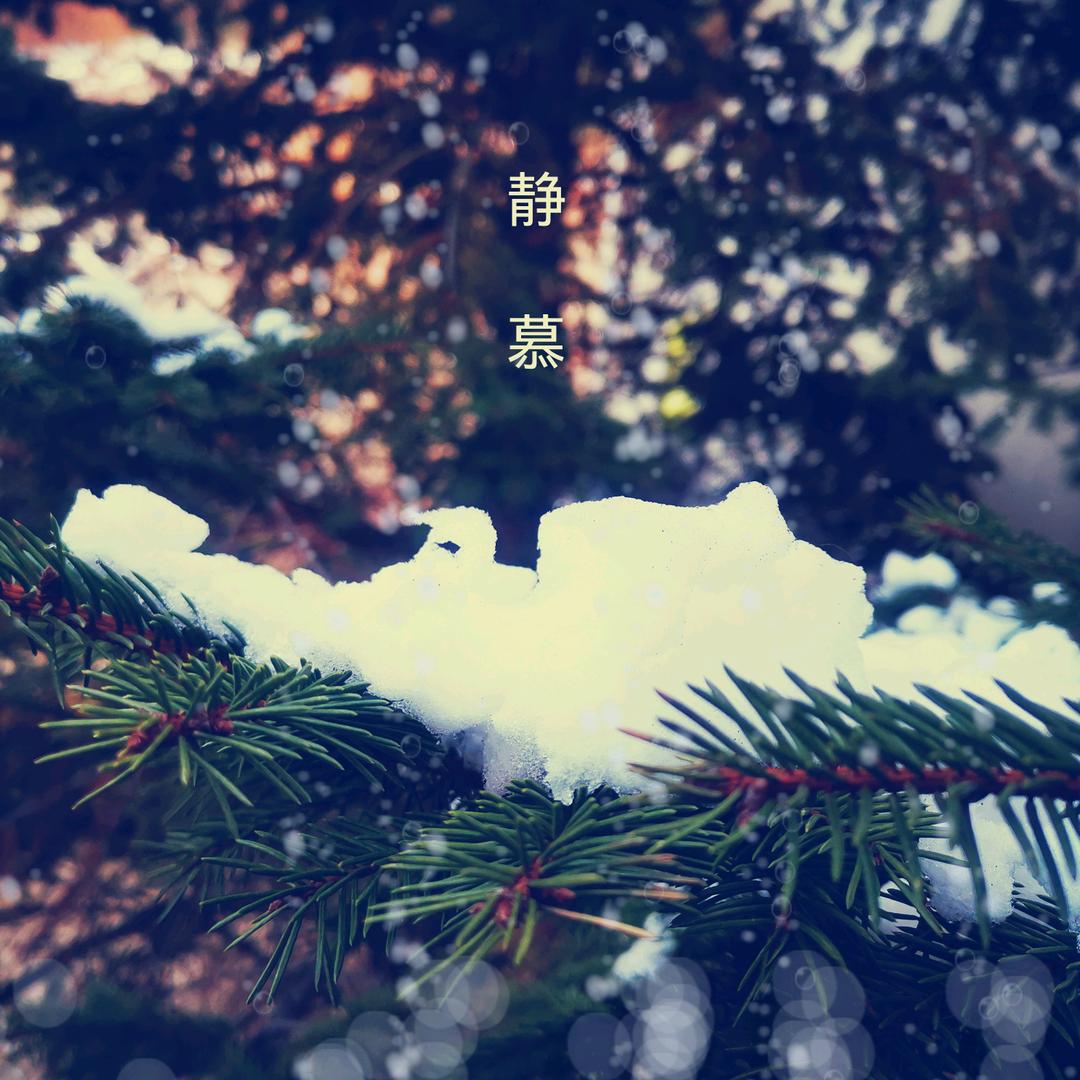 静慕