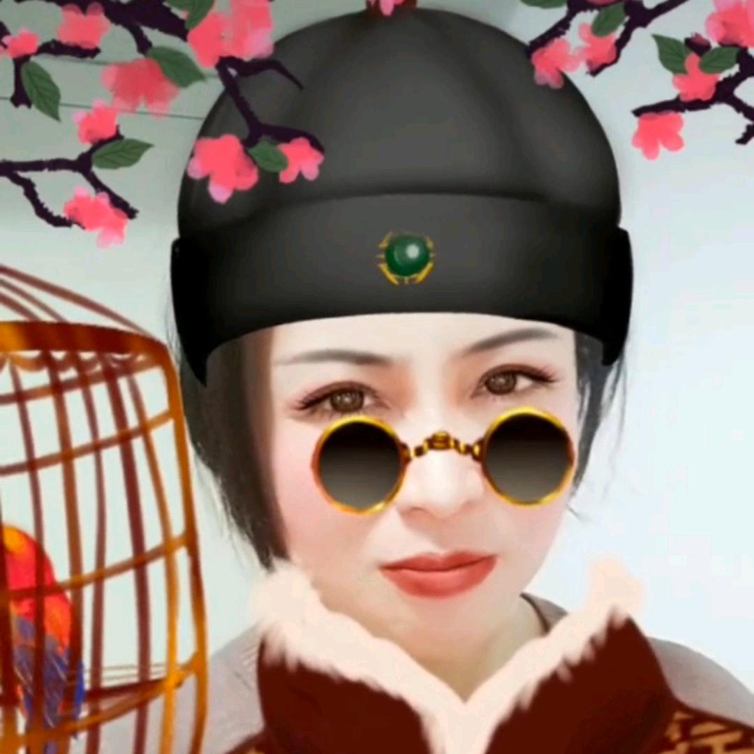 菡萏《拒聊》