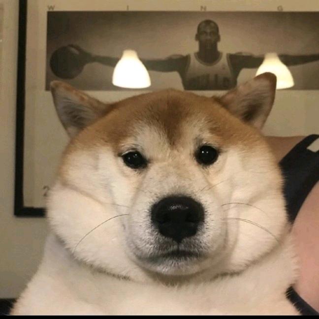 墨西哥碳烤大黑狼