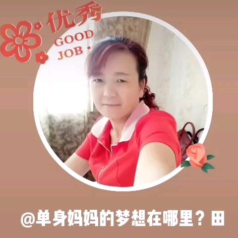 单身妈妈的梦想 田