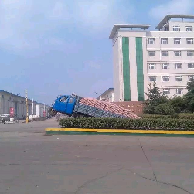 99999999999999999999