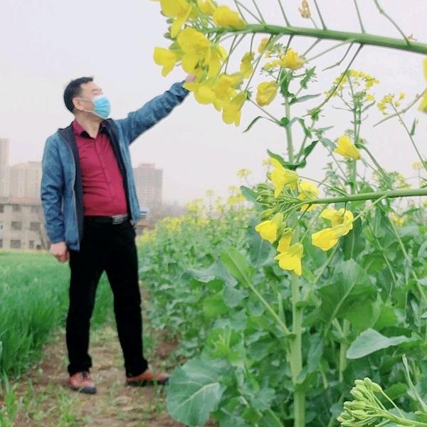 漂落的鱼