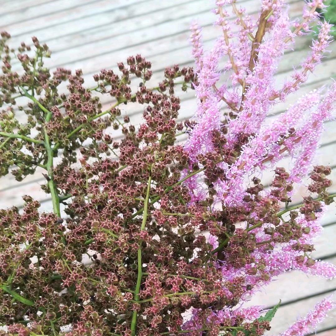 记录生活你建哥