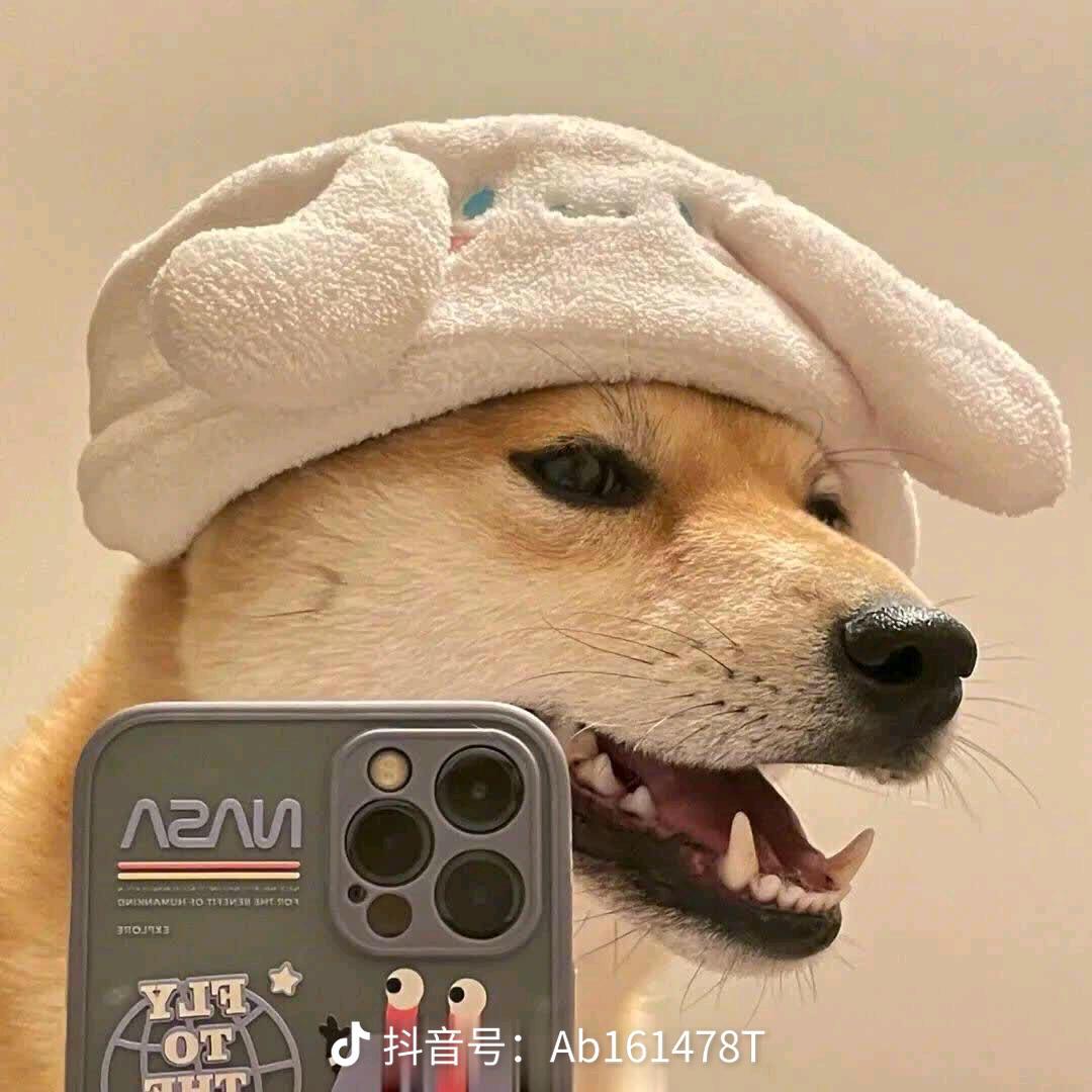张先森i