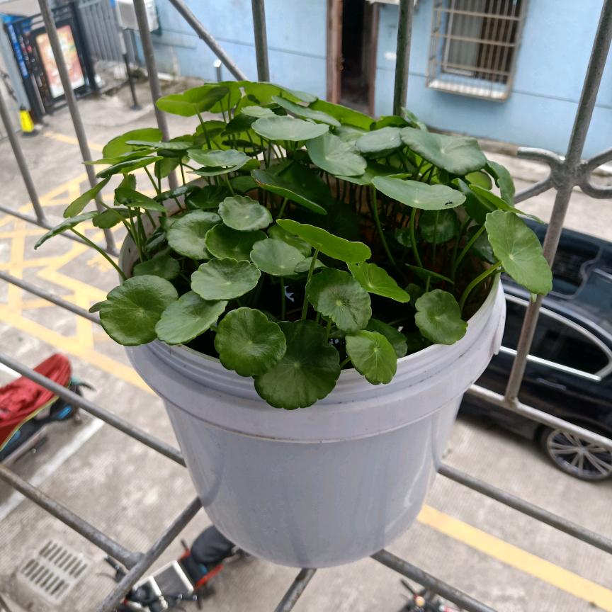 合作社好物