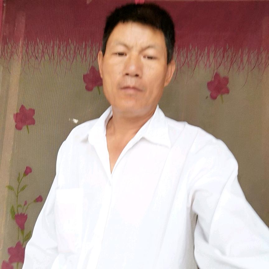 桃花一现