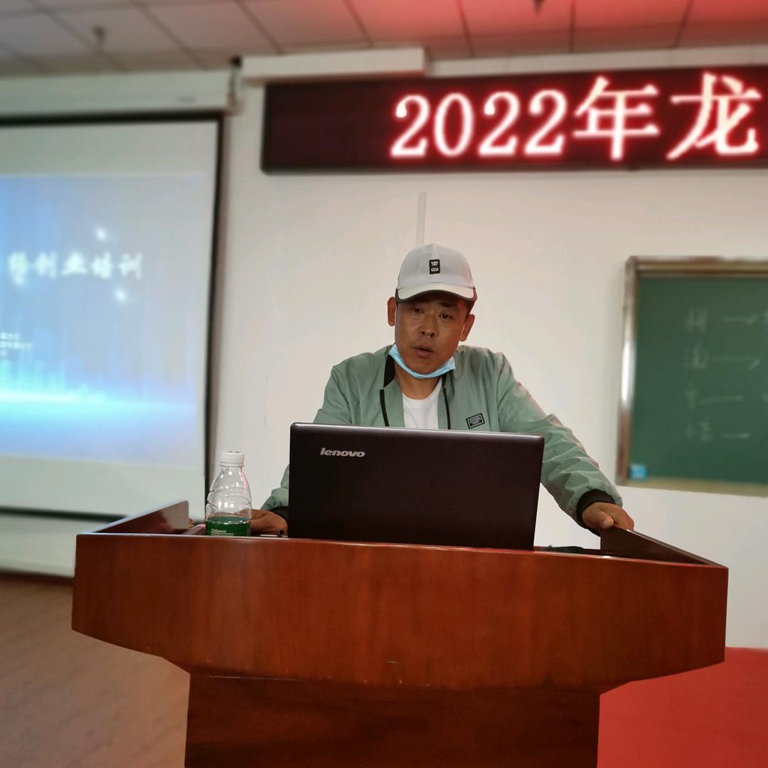 东北波哥