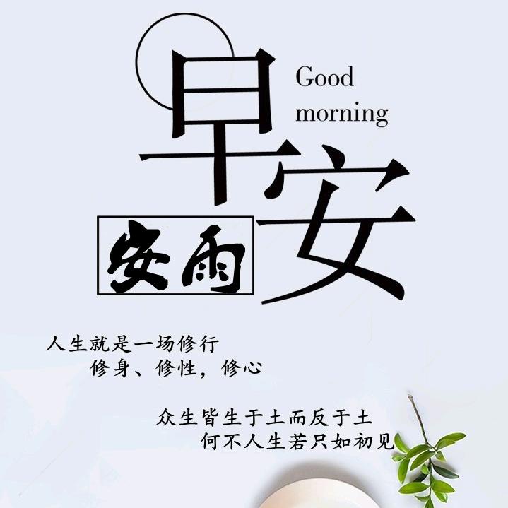 安雨