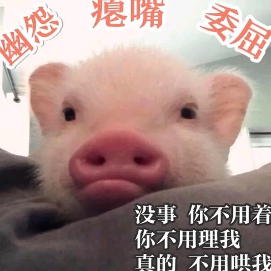 南沿村扬三乐蛋糕