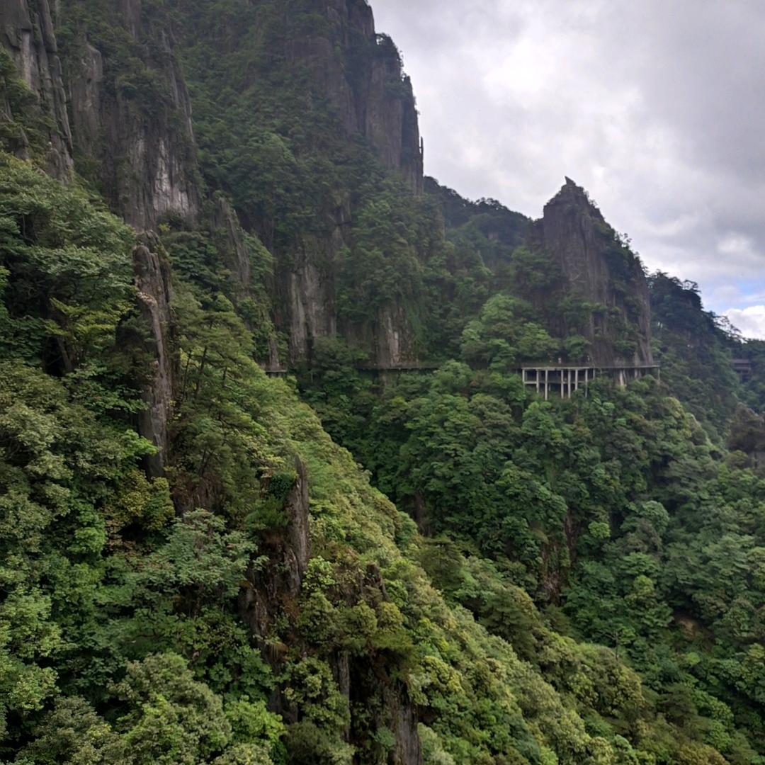 丛来不走回头路