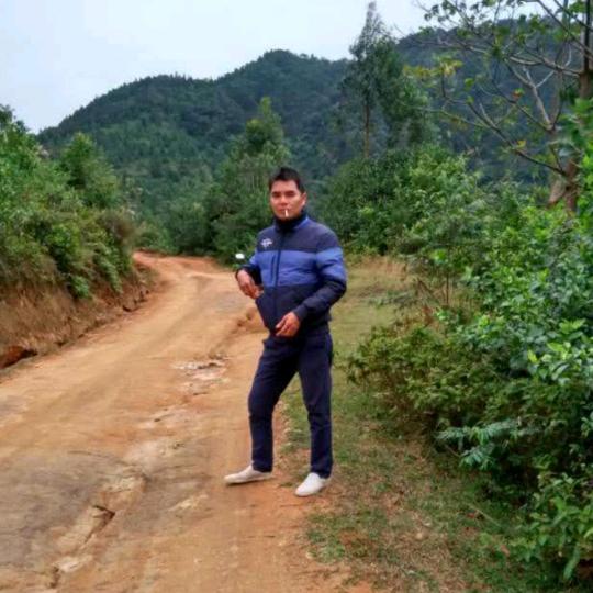 荔枝棵园，小冯，仙进凤，岭峰糯荔枝树䒼