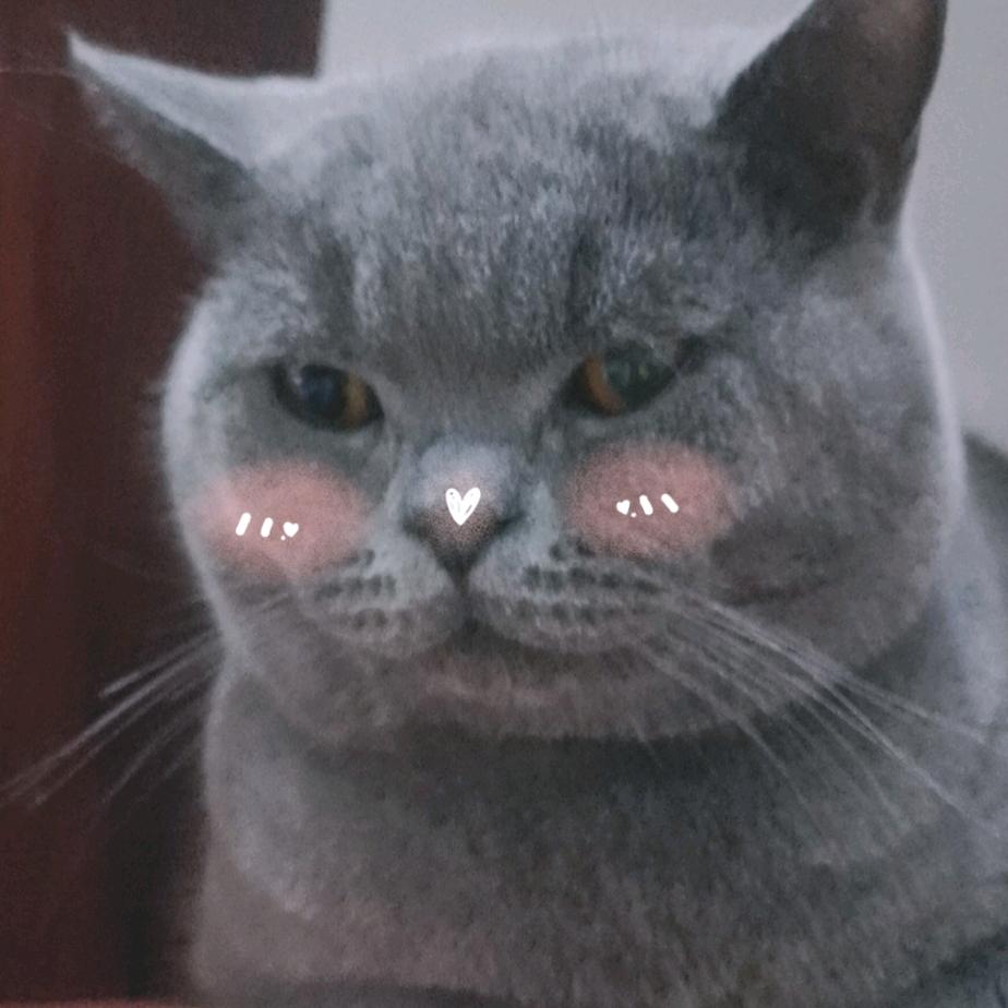 是谁的XIN呀~