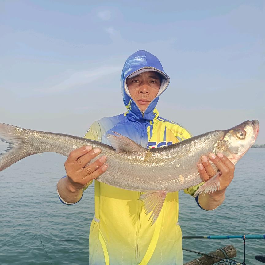 大陆哥爱钓鱼