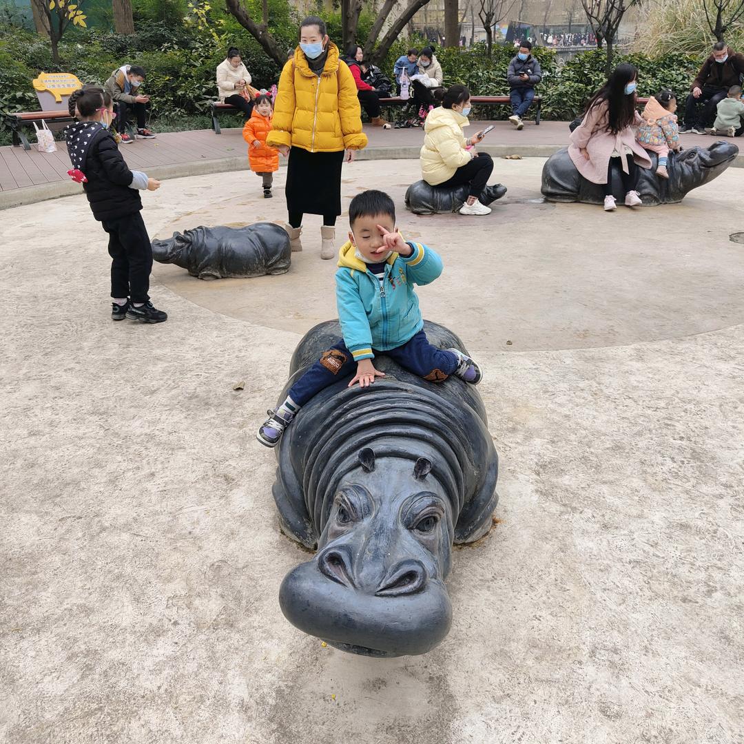 宣玮～赛鸽