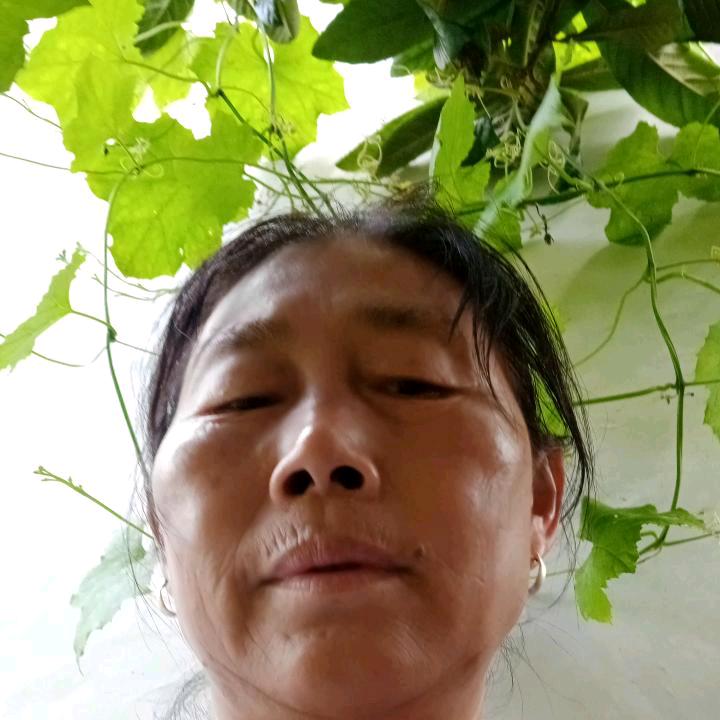 刘大姐