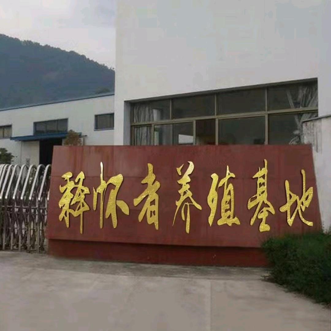 大话西游2释怀者