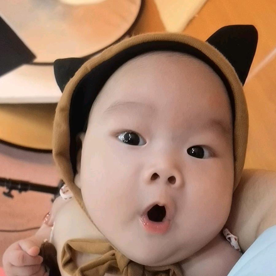 小鱼成长路