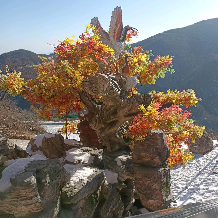 顺💐其🌸自🌻然