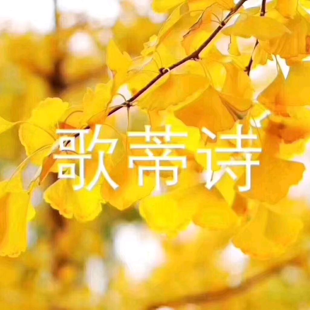 荣成振华二楼歌蒂诗女装