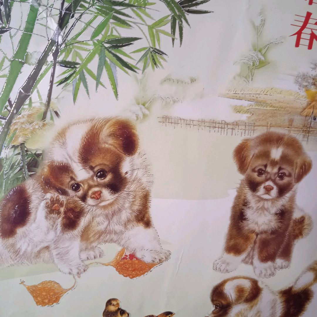 .清清湖伴