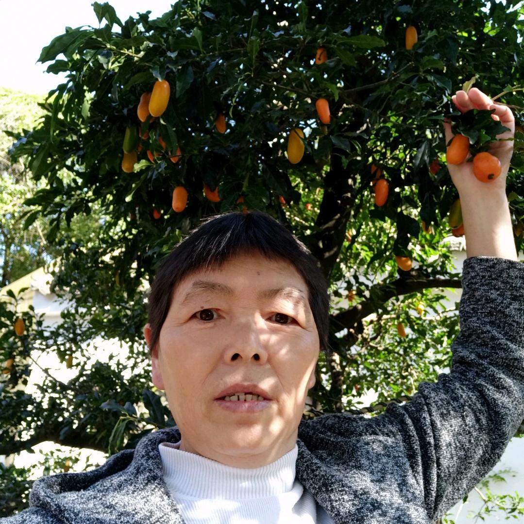 阿姨