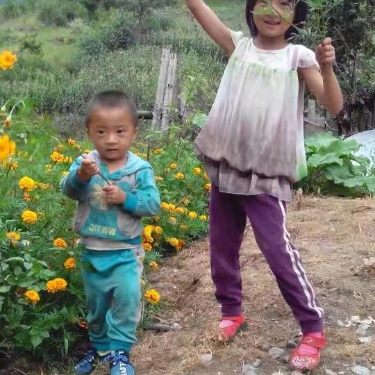 坚强的心