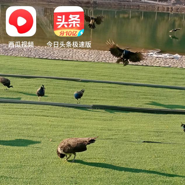 王同斌一..、://βr/\:η