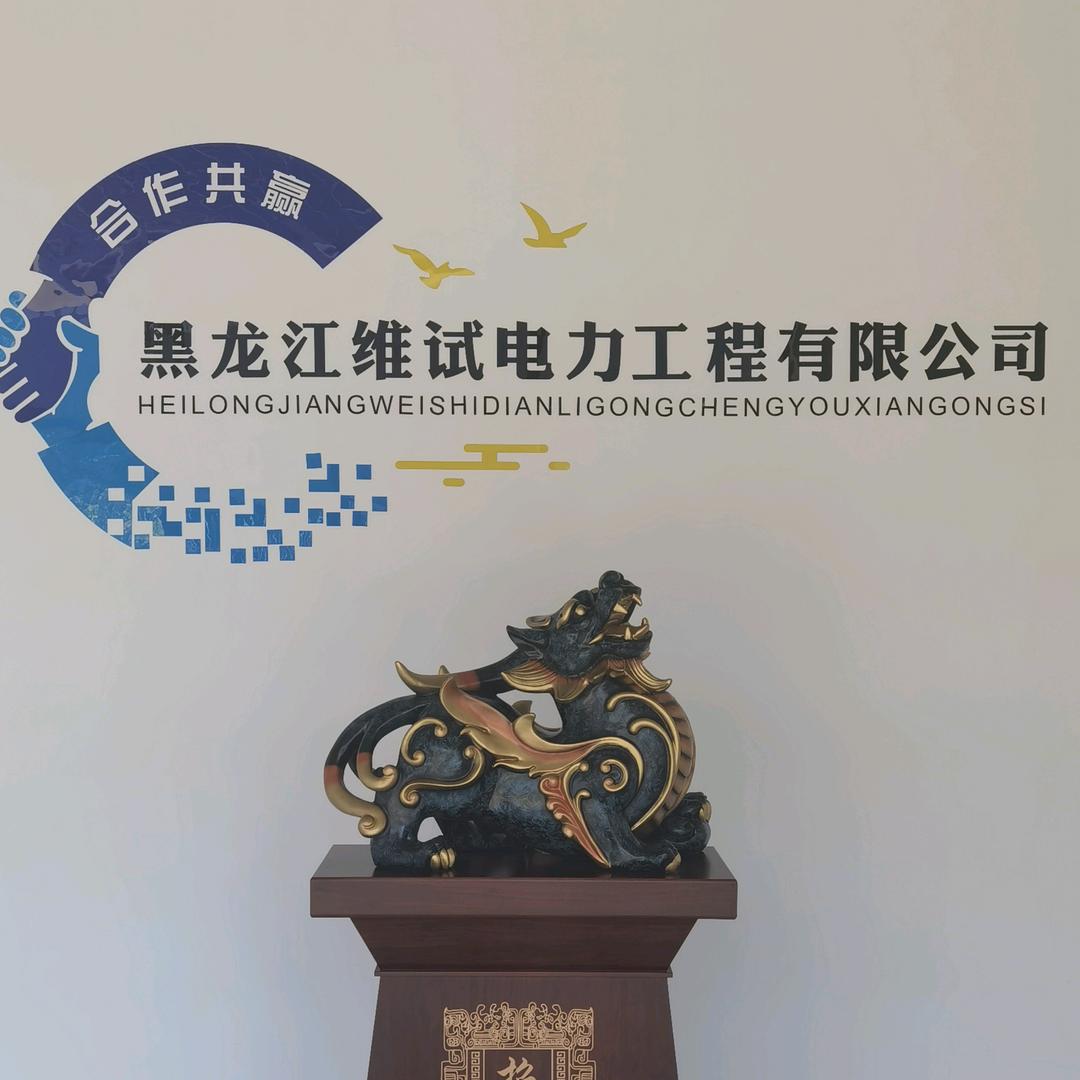 黑龙江维试电力工程有限公司