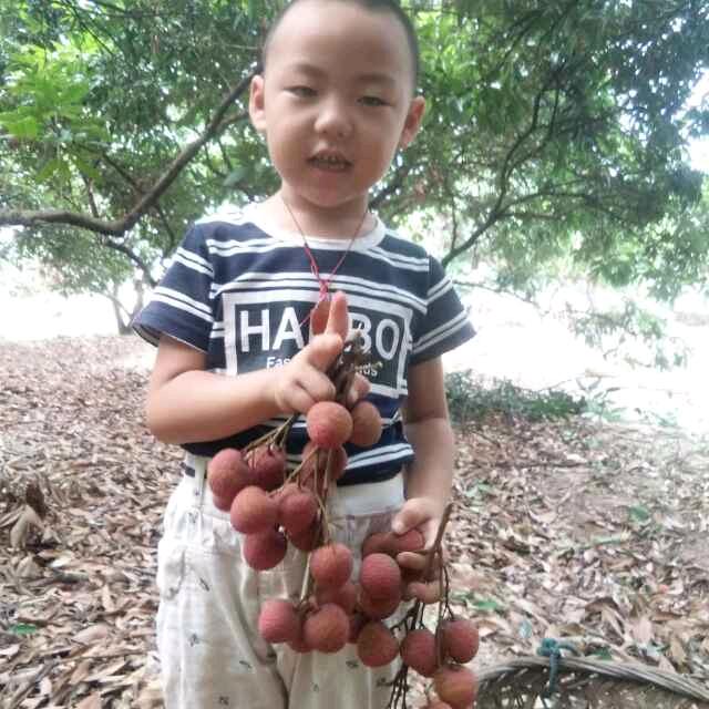用户7349010638172华