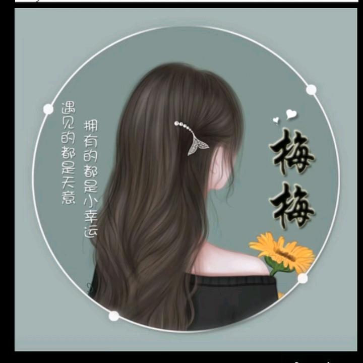 冰雪寒梅168
