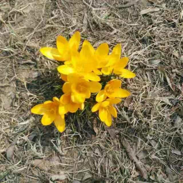 宁静致远•