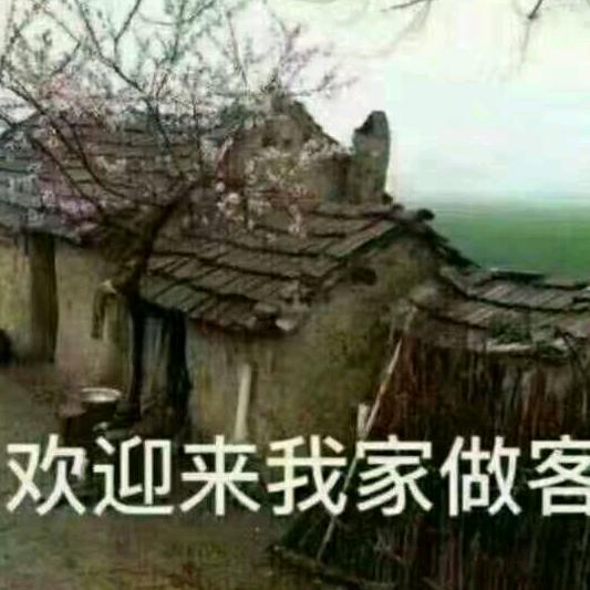 贾保磊