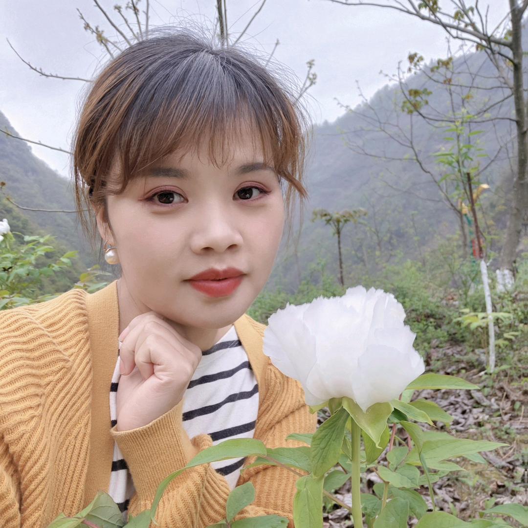 夜幕上的星星✨