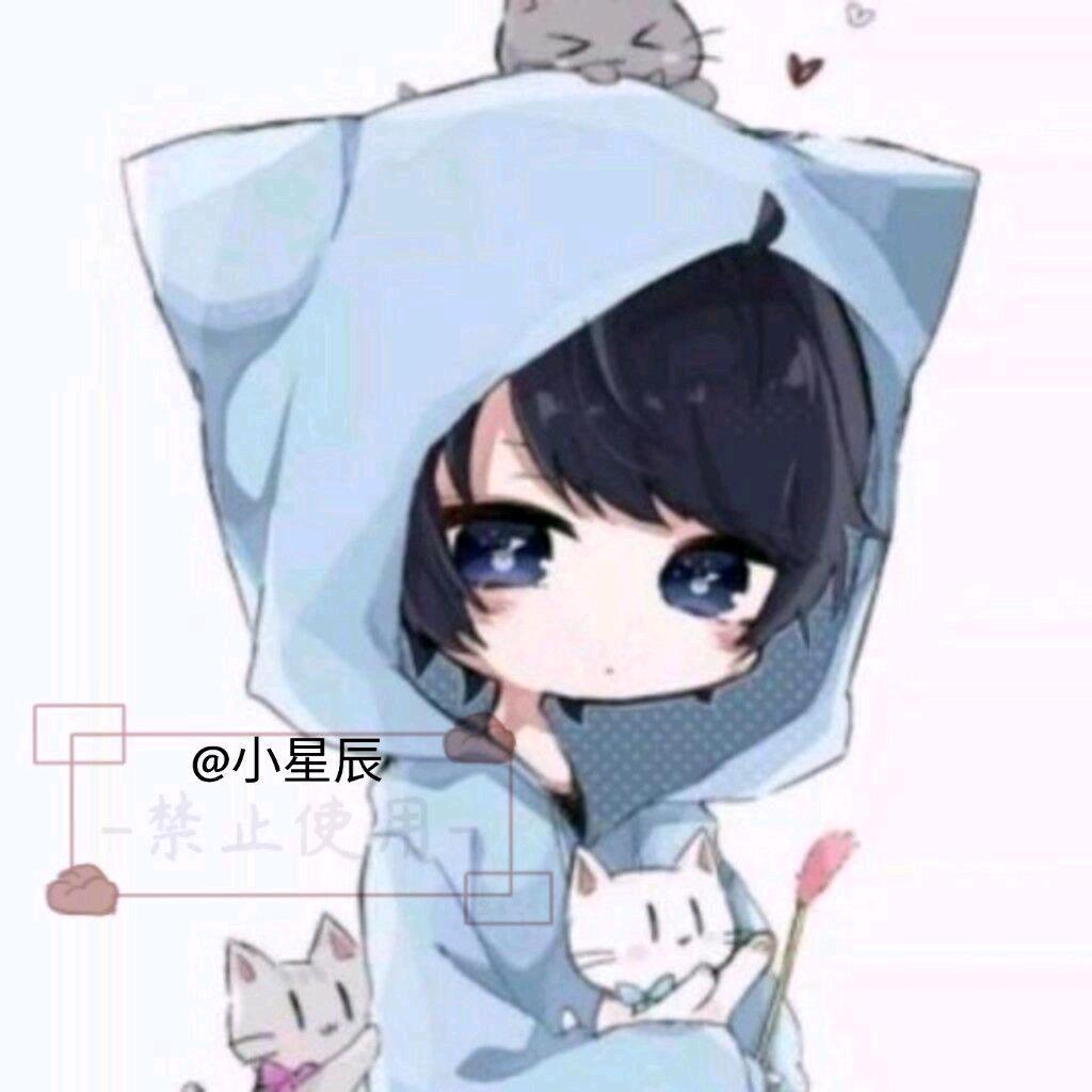 第五人格小星辰