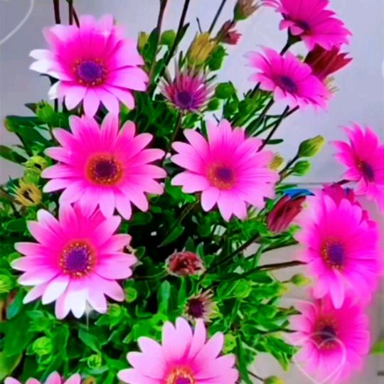 幸福美好一天。