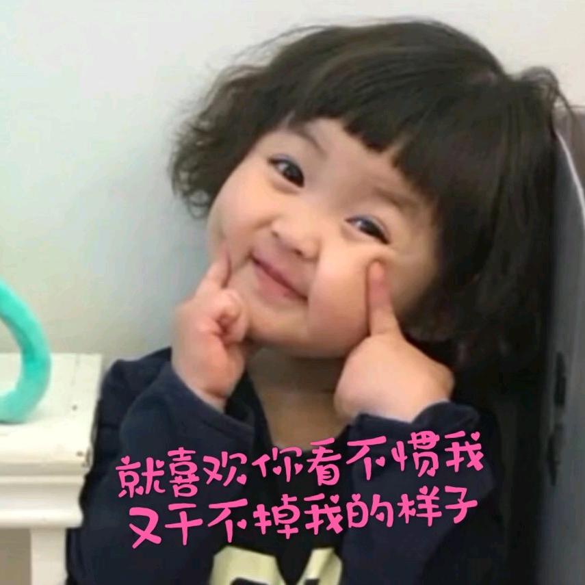 🌬🌿鸿🕊