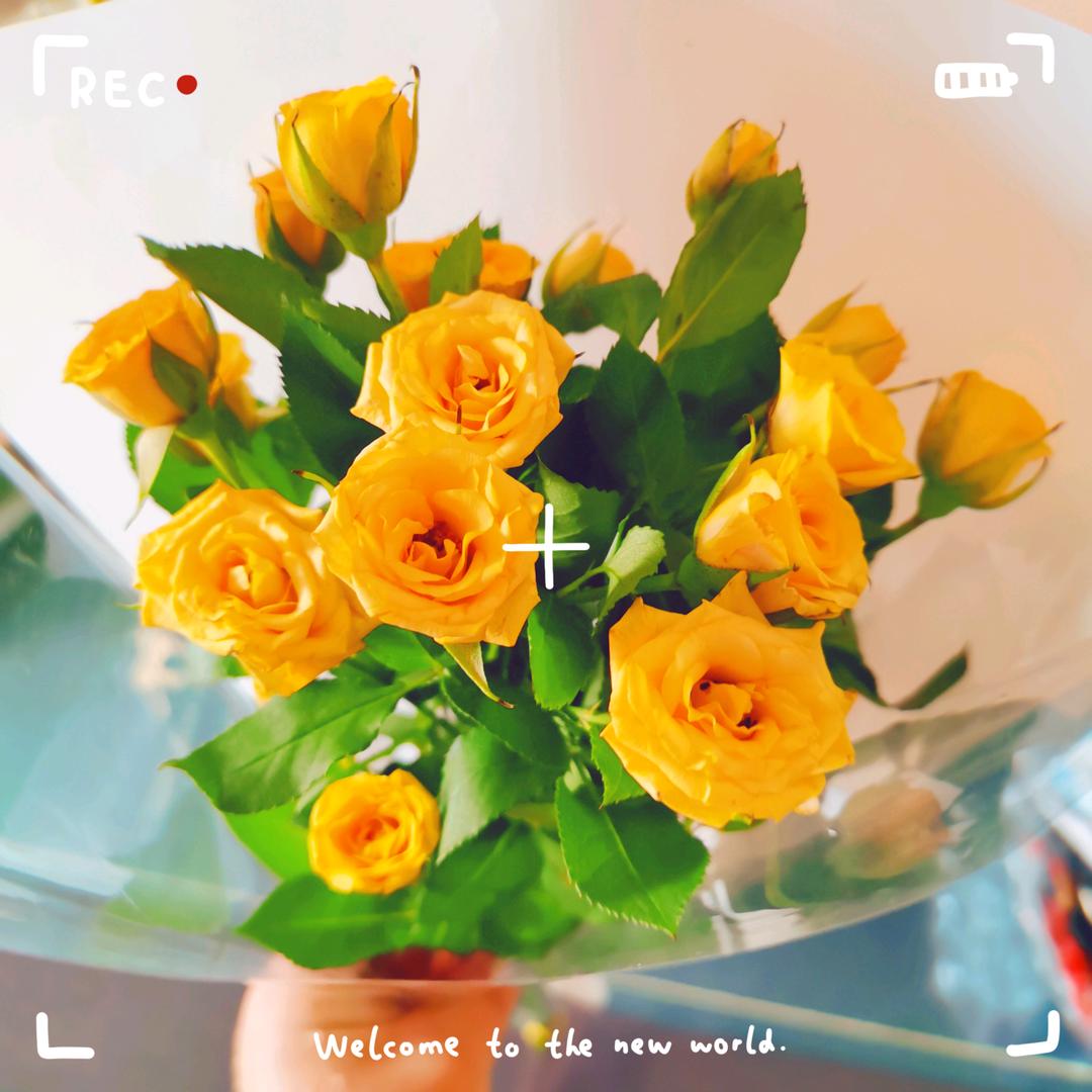 不晚💞