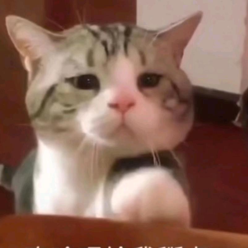 我要吃麦麦脆汁鸡